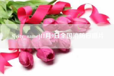 随州11月9日全国消防日图片