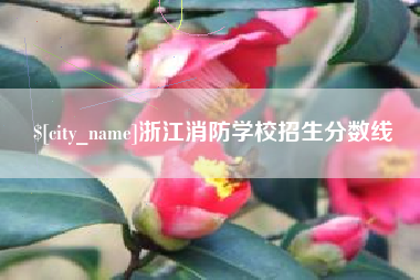 随州浙江消防学校招生分数线