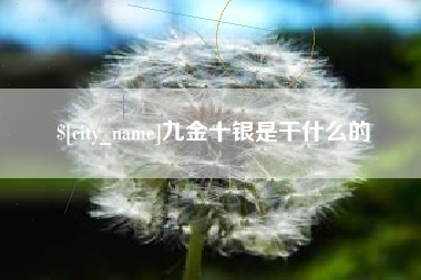 随州九金十银是干什么的