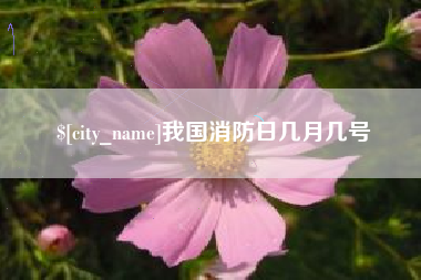 随州我国消防日几月几号