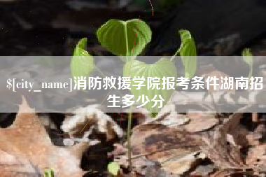 随州消防救援学院报考条件湖南招生多少分