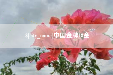 随州中国金牌18金