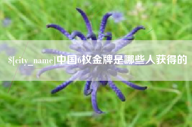 随州中国6枚金牌是哪些人获得的