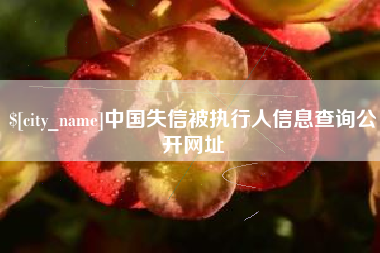 随州中国失信被执行人信息查询公开网址