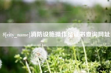 随州消防设施操作员证书查询网址
