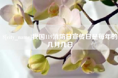 随州我国119消防日宣传日是每年的几月几日
