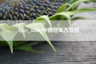 随州中国冠军九宫格