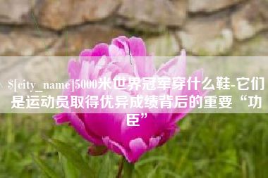 随州5000米世界冠军穿什么鞋-它们是运动员取得优异成绩背后的重要“功臣”