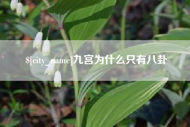 随州九宫为什么只有八卦