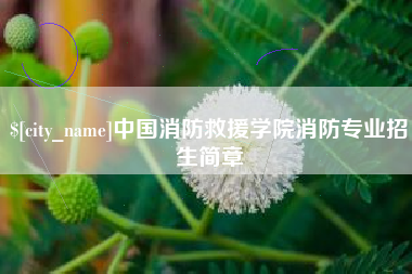 随州中国消防救援学院消防专业招生简章