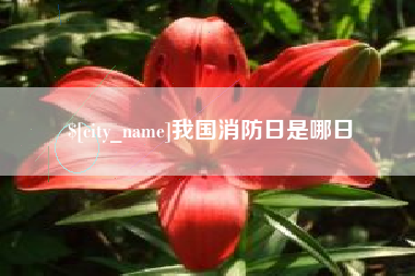 随州我国消防日是哪日