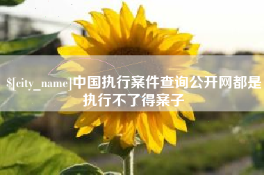 随州中国执行案件查询公开网都是执行不了得案子