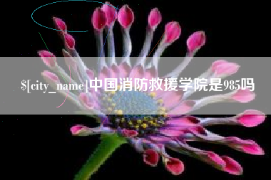 随州中国消防救援学院是985吗