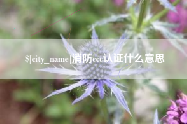 随州消防ccc认证什么意思