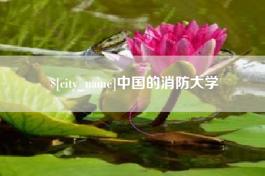 随州中国的消防大学
