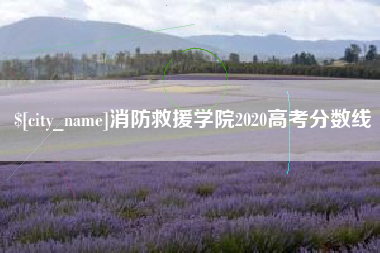 随州消防救援学院2020高考分数线
