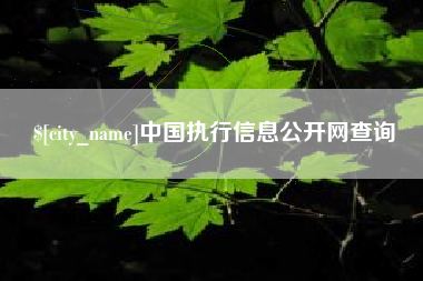 随州中国执行信息公开网查询