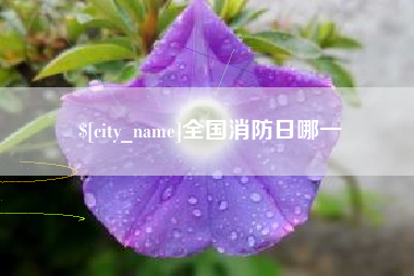 随州全国消防日哪一