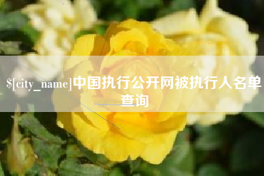 随州中国执行公开网被执行人名单查询