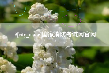 随州国家消防考试网官网