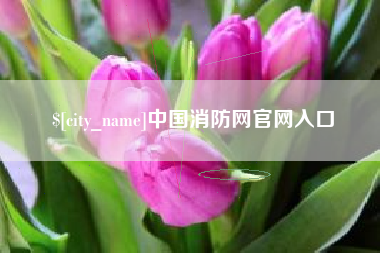 随州中国消防网官网入口