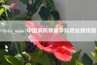 随州中国消防救援学院地址路线图