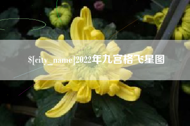 随州2022年九宫格飞星图