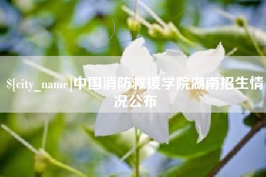 随州中国消防救援学院湖南招生情况公布