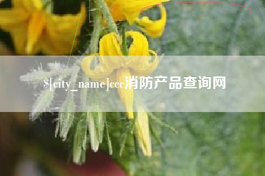随州ccc消防产品查询网