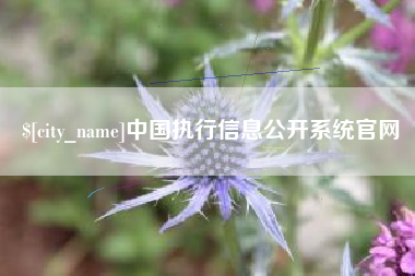 随州中国执行信息公开系统官网
