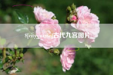 随州古代九宫图片