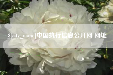 随州中国执行信息公开网 网址