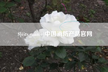 随州中国消防产品官网