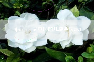 随州中国的几块金牌2021