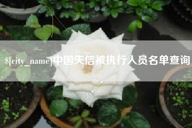 随州中国失信被执行人员名单查询