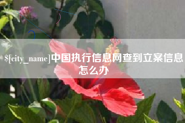 随州中国执行信息网查到立案信息怎么办