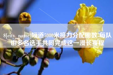 随州短道5000米接力分配圈数-每队由多名选手共同完成这一漫长赛程