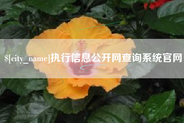 随州执行信息公开网查询系统官网