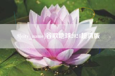 随州谷歌地球2024超清版