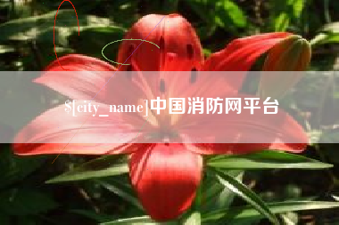 随州中国消防网平台
