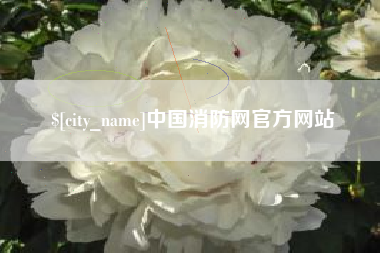 随州中国消防网官方网站