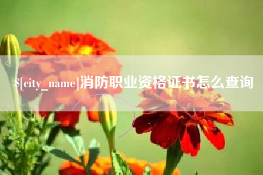 随州消防职业资格证书怎么查询