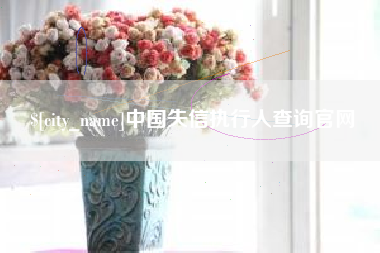 随州中国失信执行人查询官网
