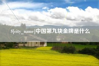 随州中国第九块金牌是什么
