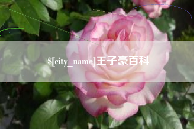 随州王子豪百科