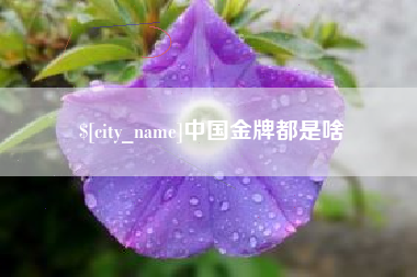 随州中国金牌都是啥