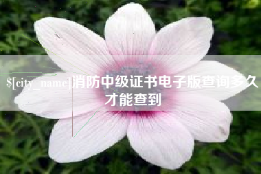 随州消防中级证书电子版查询多久才能查到