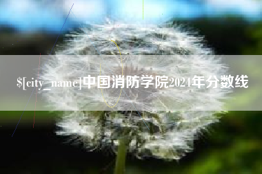 随州中国消防学院2024年分数线