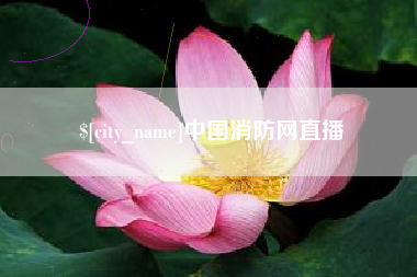 随州中国消防网直播