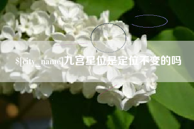 随州九宫星位是定位不变的吗